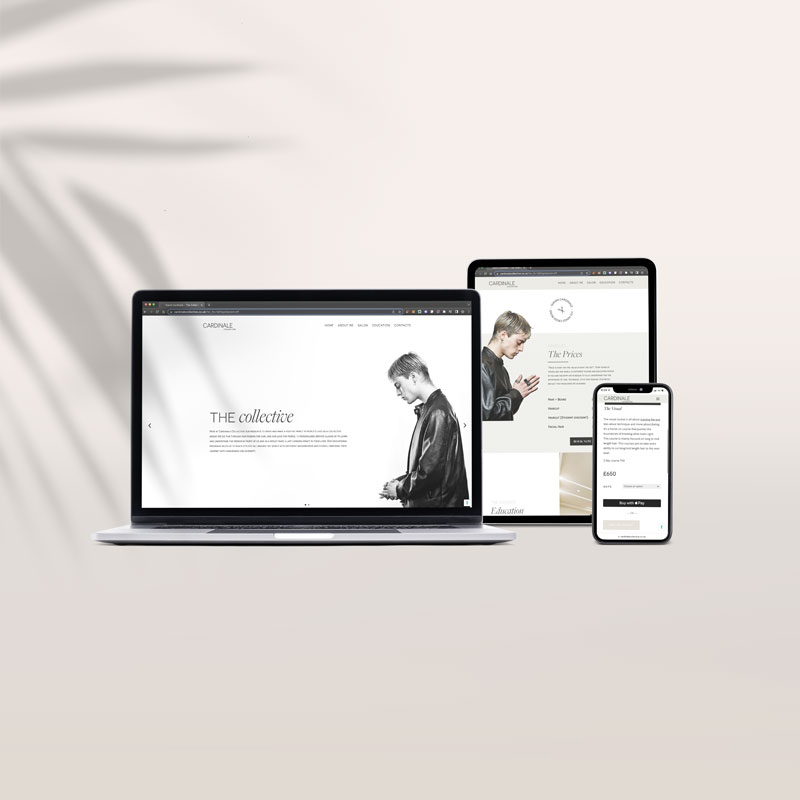 Web developement
